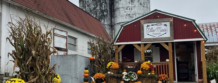 Bob's Corn Maze and Pumpkin Patch is one of Fall Fun in Seattle.