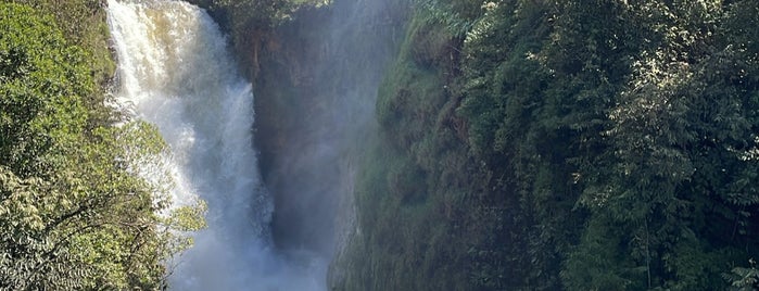 Jaciara is one of MATO GROSSO.