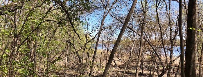 Mound Springs Park is one of outside activities.