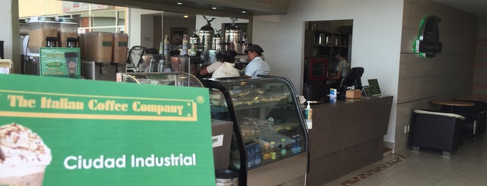 The Italian Coffee Company is one of Lugares favoritos de José.