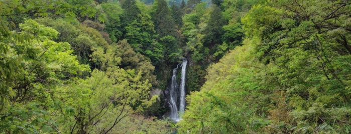 八反の滝 is one of 兵庫県2.