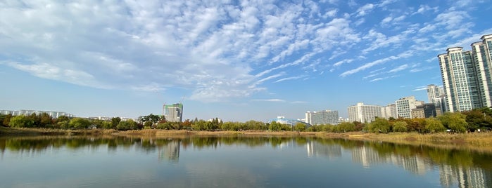 Sang-dong Lake Park is one of 한국4.
