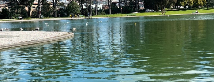 Spreckels Lake is one of Frisco spots.