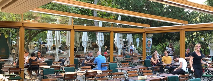Brachvogel is one of Restaurantes Visitados.