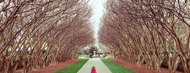 Dallas Arboretum and Botanical Garden is one of Dallas Favorites.