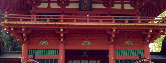 Katori Jingu Shrine is one of 八百万の神々 / Gods live everywhere in Japan.