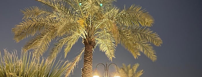Alrehab walking area is one of Riyadh Walk.