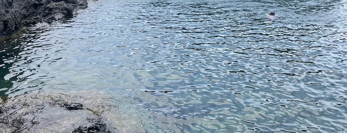 Cala Bramant is one of Llançà.