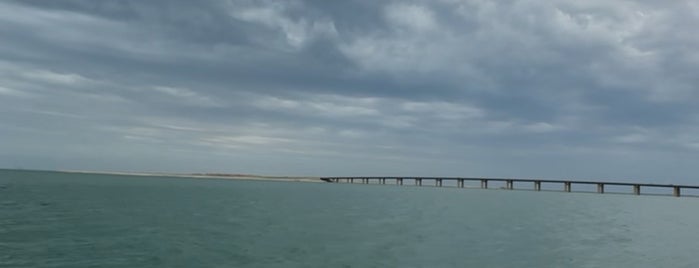 Al Shubaily Beach is one of Queen'in Kaydettiği Mekanlar.