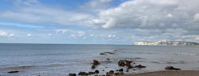 Bahía Compton is one of Isle of Wight.