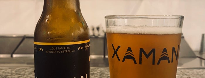 Ixbalanque Artesanal Brew is one of Locais curtidos por Luis Arturo.