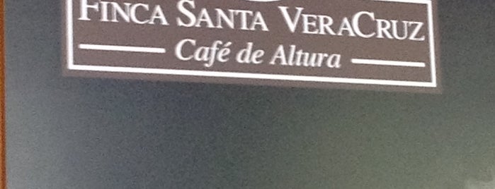 Finca Santa VeraCruz Pachuca is one of Pachuca.