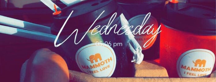 Mammoth Cafe is one of dammam.