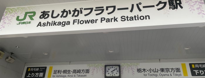 Ashikaga Flower Park Station is one of JR 키타칸토지방역 (JR 北関東地方の駅).