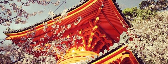 紀三井寺 is one of 多宝塔 / Two Storied Pagoda in Japan.