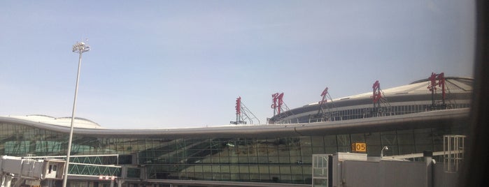 Ordos Ejin Horo Airport (DSN) is one of China Touring.