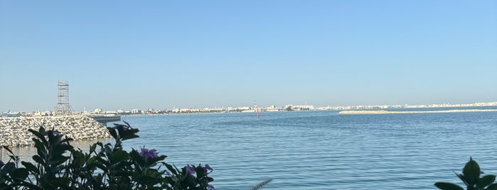 Lialy Zaman is one of Bahrain - The Pearl Of The Gulf.