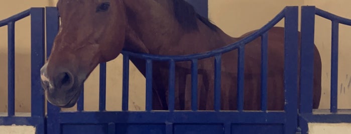 اسطبل رعاية لخدمات الخيل is one of Equestrian club.
