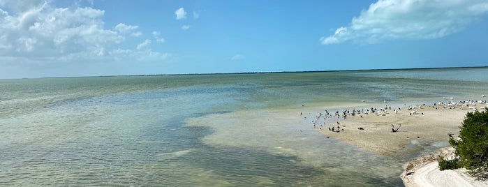 Isla Pajaros is one of Cancun.