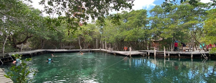 Yalahau ojo de agua is one of Lugares para visitar.