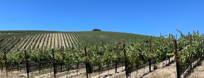 Epoch Estate Wines is one of paso robles.
