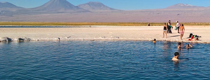 Lagunas Cejas is one of Chile.