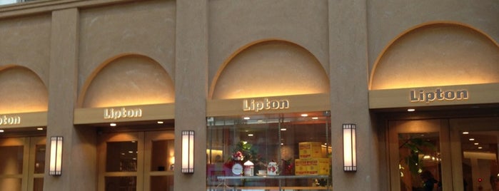 Lipton 三条本店 is one of VENUES of the FIRST store.