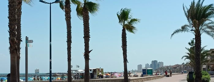 Platja de Puçol / Playa de Puzol is one of Must-visit Beaches in Valencia.