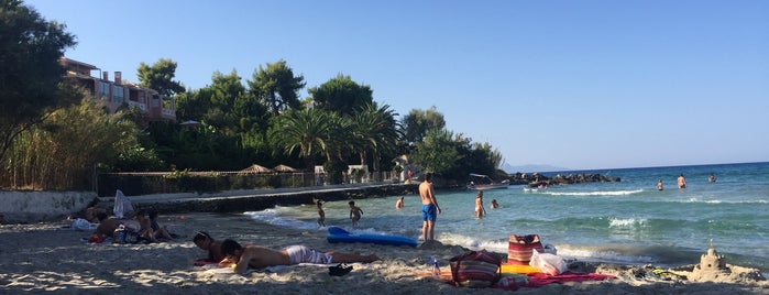 Ammoudi Beach is one of Zakintosz.