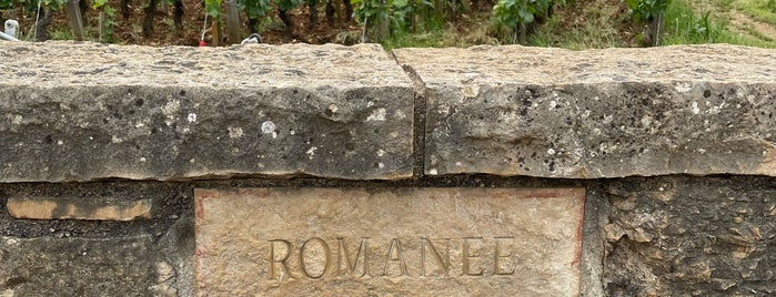 Romanée Conti Grand Cru is one of Côte D'Or.