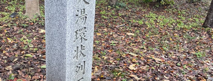 大湯環状列石 is one of 日本にある世界遺産.