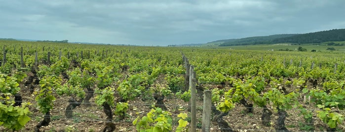 Gevrey-Chambertin is one of France.