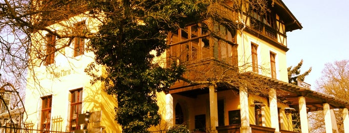 Villa Marie is one of Locais curtidos por Katerina.