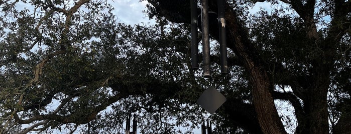 City Park: Wind Chime Tree is one of New Orleans.