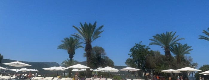 Işıl Club Beach is one of Tempat yang Disukai FATOŞ.