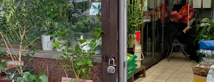 Peony Flowery Bonsai Fountain is one of Plant shops.