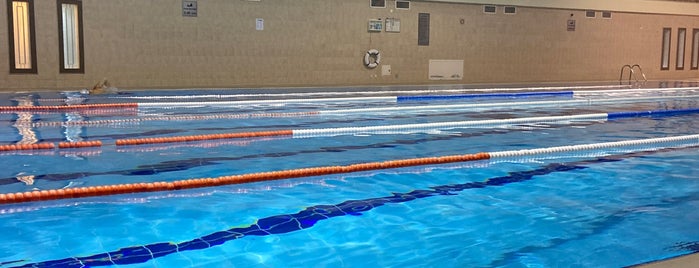 Özel Arı Spor Tesisleri / Yüzme Havuzu is one of Gidilecekler.