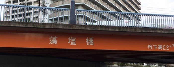 藻塩橋 is one of 東京橋.