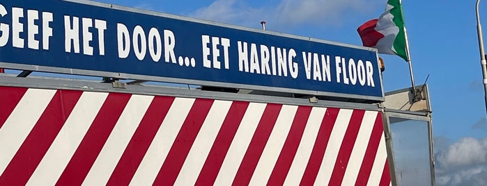 Vis Van Floor is one of Haarlem.