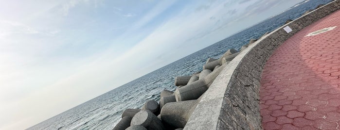 Ginowan Toropical Beach is one of 沖縄 那覇-宜野湾-慶良間-石垣.