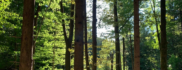 Mostec is one of Running paths in Ljubljana.