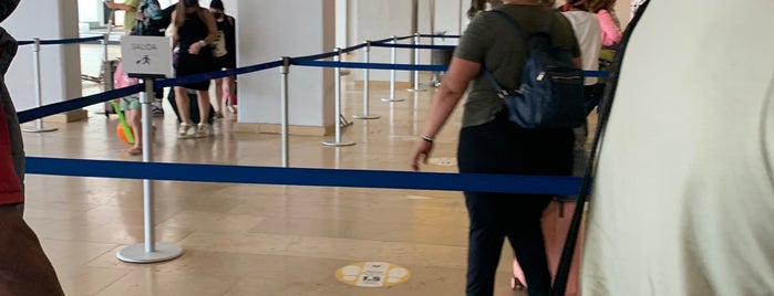 Los Cabos Airport Immigration is one of cabo 2018.