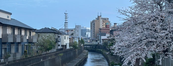 藤沢橋 is one of 境川ポタ♪.