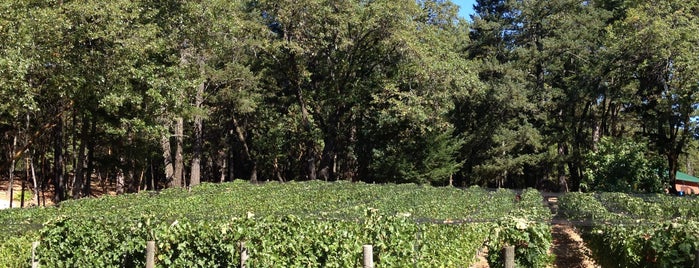 Robert Foley Vineyards is one of Wine Country.