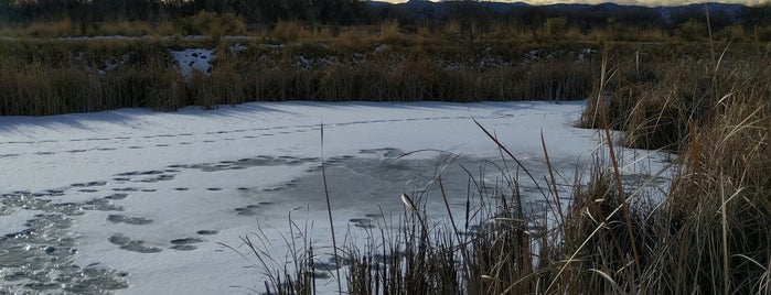 Riverbend Ponds Natural Area is one of Lugares favoritos de Matthew.