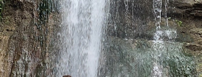 Waterfall in Botanical Garden is one of Georgia.