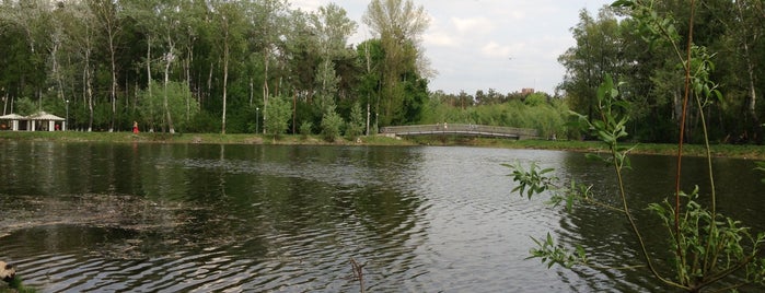 Озеро is one of Київ.