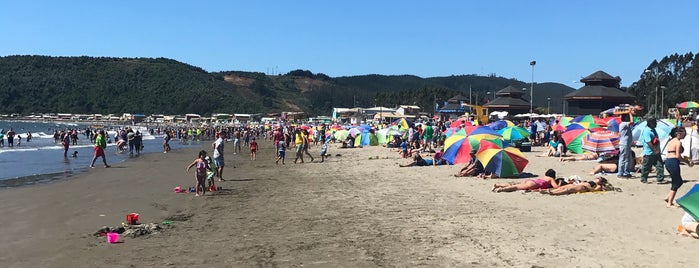 Playa Colcura is one of Pencópolis - Atractivos turísticos.