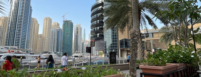 Habib Beirut is one of Dubai Marina.