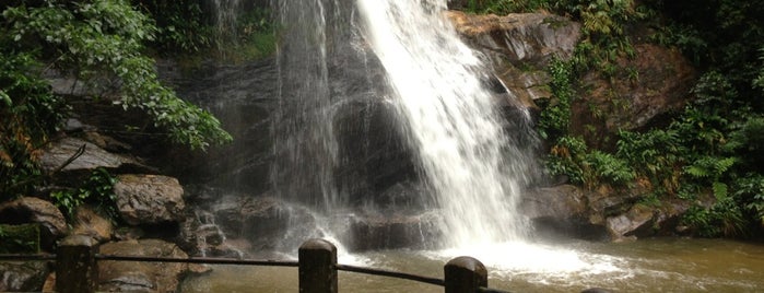 Parque Nacional da Tijuca is one of Must-visit Parks in Rio de Janeiro.